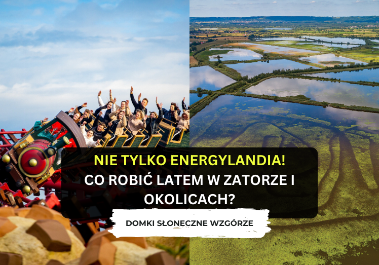 Nie tylko Energylandia – co robić latem w Zatorze i okolicach?